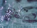 REAL MEN ARE FEMINISTS — hand-painted artwear by VALYOU Couture® (detail)
